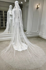 Jessica Dantel İşlemeli Özel Tasarım Hayal Tül Duvak - Mediha Cambaz Bridal