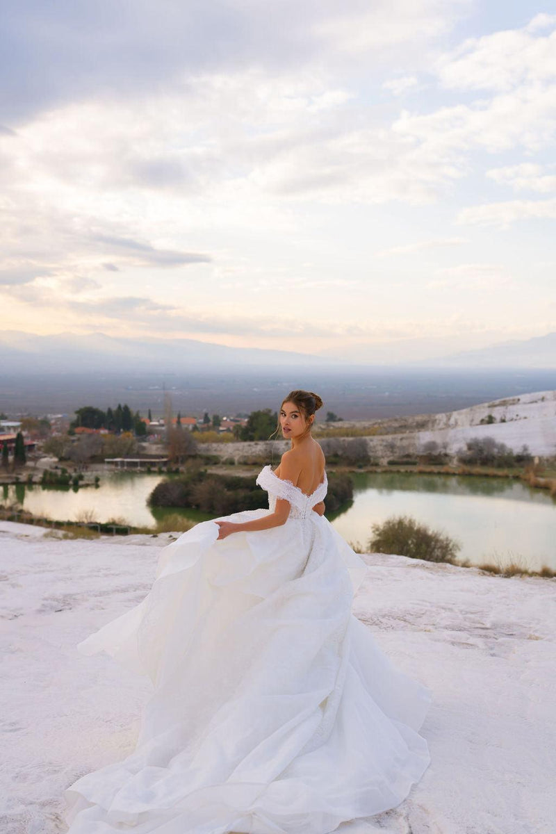 Apolonia Madonna Collar French Lace Princess Wedding Dress